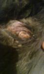post-58937-1444765240_thumb.jpg