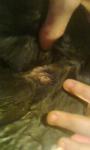 post-58937-1444765252_thumb.jpg