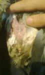 post-58937-1446752225_thumb.jpg