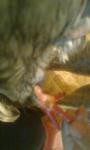 post-58937-1446752253_thumb.jpg