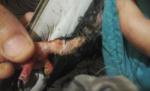 post-58937-1446814229_thumb.jpg