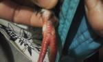 post-58937-1446814238_thumb.jpg