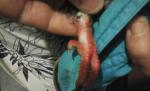 post-58937-1446814249_thumb.jpg