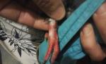 post-58937-1446814264_thumb.jpg