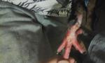post-58937-1446814276_thumb.jpg