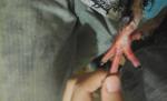 post-58937-1446814284_thumb.jpg