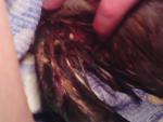 post-58937-1456510184_thumb.jpg