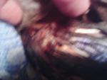 post-58937-1456510199_thumb.jpg