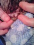 post-58937-1456510256_thumb.jpg