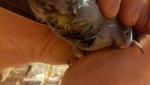 post-59006-1419434886_thumb.jpg