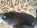 post-59027-1419595651_thumb.jpg