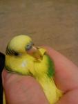 post-59049-1419805148_thumb.jpg