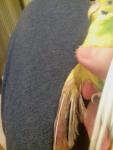 post-59049-1419805287_thumb.jpg