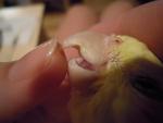 post-59360-1427909737_thumb.jpg