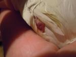 post-59360-1428522709_thumb.jpg