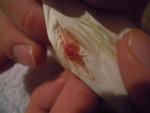 post-59360-1428610139_thumb.jpg