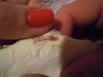 post-59360-1428610224_thumb.jpg