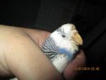post-59412-1421786725_thumb.jpg