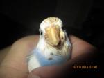 post-59412-1421786761_thumb.jpg