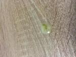 post-59465-1462892101_thumb.jpg