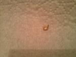 post-59480-1422210200_thumb.jpg
