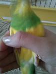 post-59480-1422295995_thumb.jpg