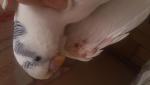 post-59503-1422366650_thumb.jpg