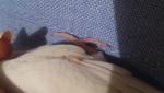 post-59503-1422366769_thumb.jpg