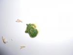 post-59507-1425010374_thumb.jpg