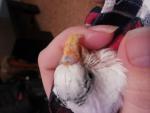 post-59511-1424338397_thumb.jpg