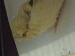 post-59727-1423660973_thumb.jpg