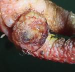 post-59784-1494632898_thumb.jpg
