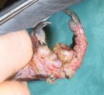 post-59784-1494690704_thumb.jpg