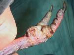 post-59784-1494690731_thumb.jpg