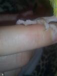 post-59879-1424596596_thumb.jpg