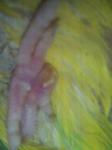 post-59879-1424709210_thumb.jpg