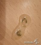 post-59990-1456332782_thumb.jpg