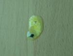 post-59990-1458912050_thumb.jpg