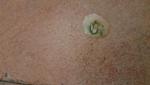 post-59990-1459076627_thumb.jpg