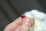 post-60277-1428089324_thumb.jpg