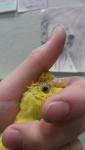 post-60308-1452338402_thumb.jpg