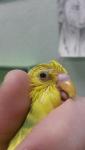 post-60308-1452338413_thumb.jpg