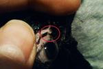 post-60308-1453308579_thumb.jpg