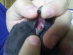 post-60318-1442660065_thumb.jpg