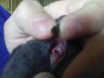 post-60318-1442660077_thumb.jpg