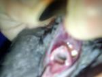 post-60318-1442660124_thumb.jpg