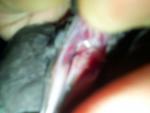 post-60318-1442660135_thumb.jpg