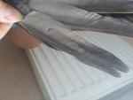 post-60333-1436530351_thumb.jpg