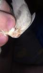 post-60393-1439737749_thumb.jpg