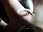 post-60469-1465667886_thumb.jpg
